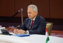 Шойгу раскрыл реальную эффективность ударов дронами по России