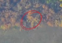 Всё дело в «крышке». В «котле» Мирнограда варят тузов НАТО и «шишек» ВСУ