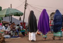 «Вынуждены собирать беспилотники»: в Малави требуют выяснить, чем их девушки занимаются в России