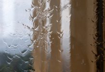 Психолог дала пять советов по борьбе с тревогой