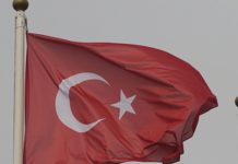 В Турции заявили о сильном давлении США из-за отношений с Россией