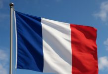 Стало известно об обысках и задержании экс-генпрокурора Украины во Франции