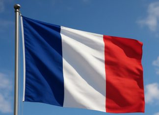 Стало известно об обысках и задержании экс-генпрокурора Украины во Франции