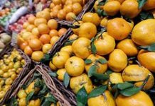 В России подешевели мандарины