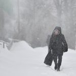 Подмосковье выполнило половину месячной нормы по осадкам за сутки