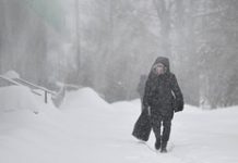 Подмосковье выполнило половину месячной нормы по осадкам за сутки