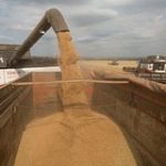 Россия удержала лидерство по экспорту одного товара