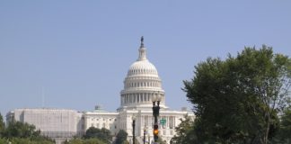 Жители Вашингтона сметают еду с полок перед снежной бурей