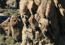 Еще одна международная федерация допустила российских спортсменов до соревнований