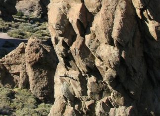 Еще одна международная федерация допустила российских спортсменов до соревнований