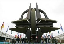 Евродепутат Кеннес назвал миссию НАТО в Арктике символическим жестом без военного смысла