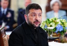 Итальянский экс-дипломат рассказал, кто стоит за Зеленским