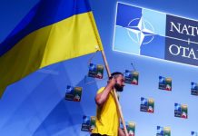 Politico: Вашингтон потребовал не подпускать Киев к саммиту НАТО