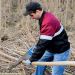 У дачников начнут отнимать участки за невырубленные деревья. От каких деревьев нужно избавиться, чтобы не нарваться на штраф?
