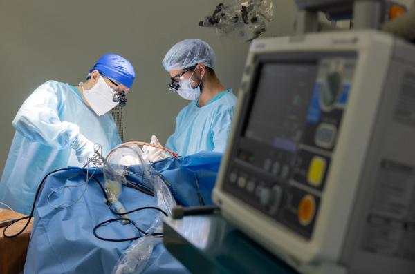 
        Год испытаний и развития. Глава Крыма рассказал о развитии региона    