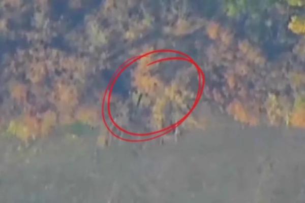 
        Всё дело в «крышке». В «котле» Мирнограда варят тузов НАТО и «шишек» ВСУ    