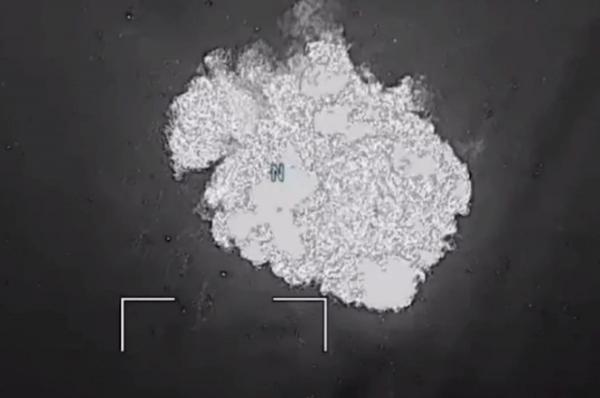 Сводка СВО на 26 января. Киев и Одесса замерли в ожидании удара возмездия
Сводка СВО на 26 января. Киев и Одесса замерли в ожидании удара возмездия