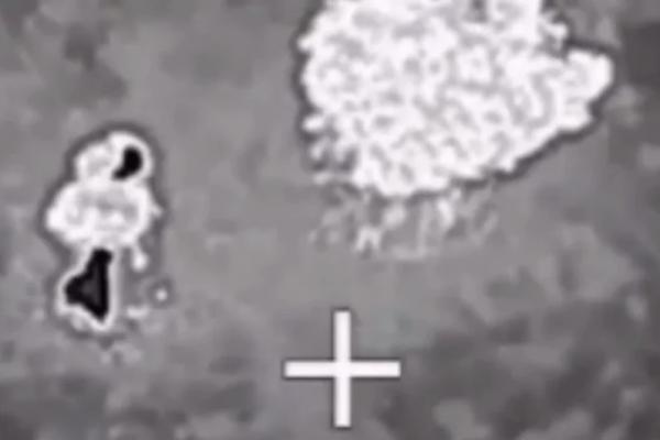 Сводка СВО, 2 ноября. Неизвестное оружие истребило полигон солдат ВСУ     
        Сводка СВО, 2 ноября. Неизвестное оружие истребило полигон солдат ВСУ