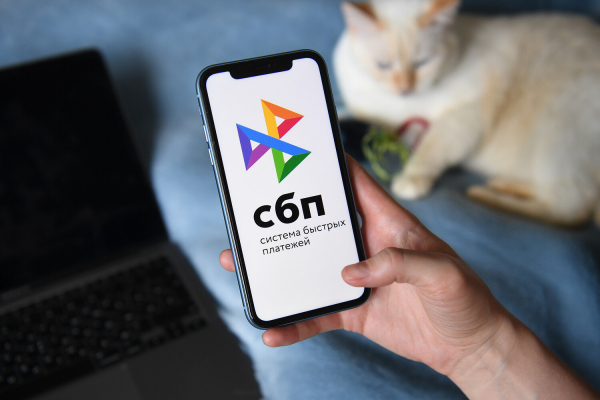 Признаки мошенничества. В России будут проверять крупные переводы по СБП 