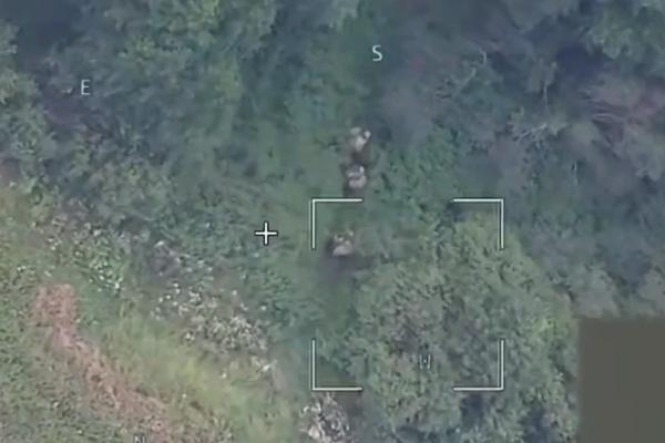 
        Сводка СВО на утро 25 августа. Жуткие находки в окопах ВСУ вызывают шок    