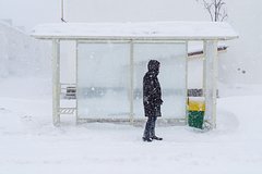 Центральную Россию накроют снегопады Центральную Россию накроют снегопады