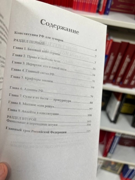 Что следующее? УК на «феню» переведут? В Сети обсуждают «Конституцию для зумеров» Что следующее? УК на «феню» переведут? В Сети обсуждают «Конституцию для зумеров»