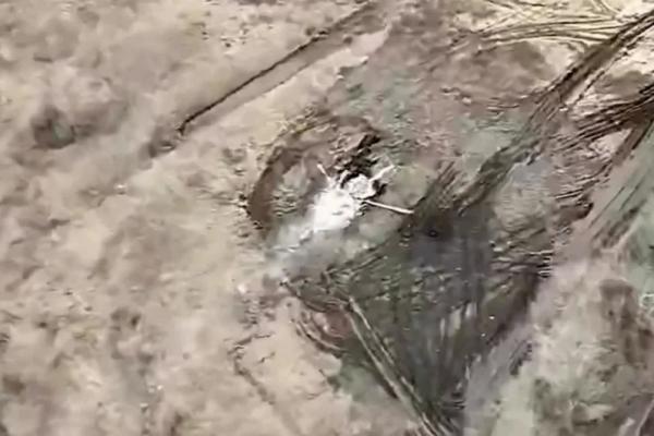 
        Сводка СВО, 8 марта. Кто сгорел в бункере? Киев и НАТО боятся узнать правду    