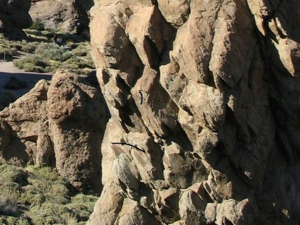 Еще одна международная федерация допустила российских спортсменов до соревнований