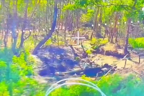 
        Сводка СВО на утро 26 июля. Палачей из «Айдара» «заземлили» под Сумами    