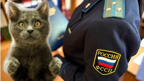 Можно ли за долги принудительно расстаться с &laquo;Муркой&raquo; или &laquo;Шариком&raquo;?