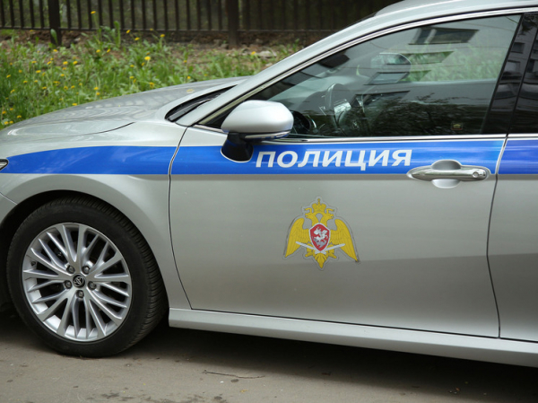 МВД сообщило о наиболее частых темах мошеннических объявлений