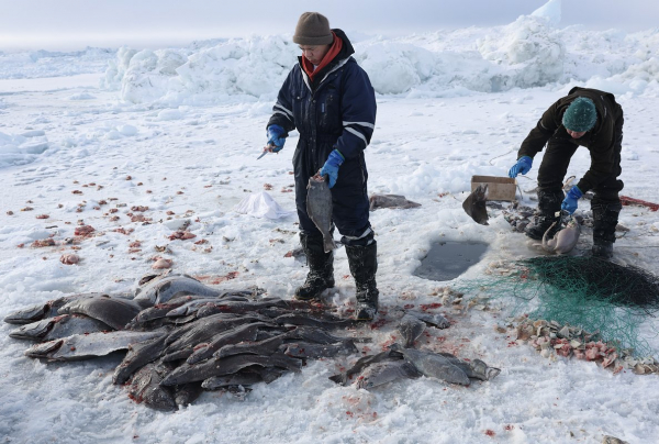 «Мы не продаемся!» США больше 150 лет мечтают завладеть Гренландией. Почему жители острова выступают против и чего они хотят? «Мы не продаемся!» США больше 150 лет мечтают завладеть Гренландией. Почему жители острова выступают против и чего они хотят?