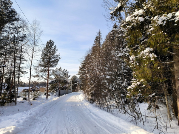Названы результаты повторных поисков семьи Усольцевых