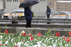 Названы сроки улучшения погоды в Москве