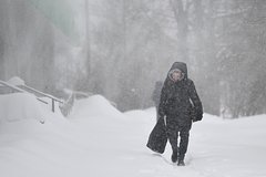 Подмосковье выполнило половину месячной нормы по осадкам за сутки