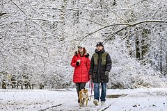 Предсказан срок прихода зимы в Москву