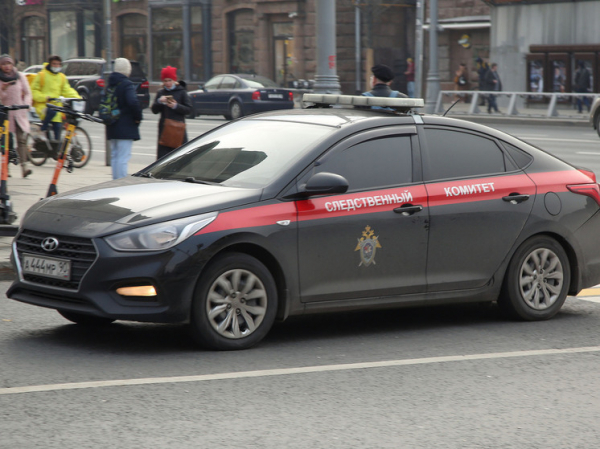 Ребенок погиб в парке из-за падения деревянной скульптуры кота в Саратове