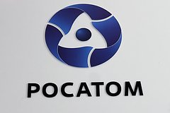«Росатом» счел недружественные страны виновными в задержке зарплат на стройке АЭС
