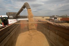 Россия удержала лидерство по экспорту одного товара