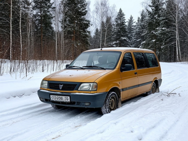 Россиянин не нашел машину под снегом и заявил об угоне