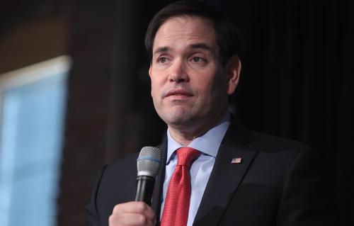 Рубио прокомментировал переговоры по вопросу контроля США над Гренландией Рубио прокомментировал переговоры по вопросу контроля США над Гренландией