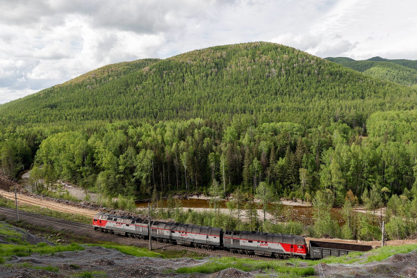 РЖД столкнулись с финансовыми проблемами. Как крупнейшая компания будет их решать?