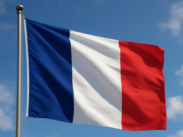 Стало известно об обысках и задержании экс-генпрокурора Украины во Франции