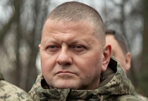 СВР: американцы и британцы сообщили о решении выдвинуть Залужного на пост президента Украины