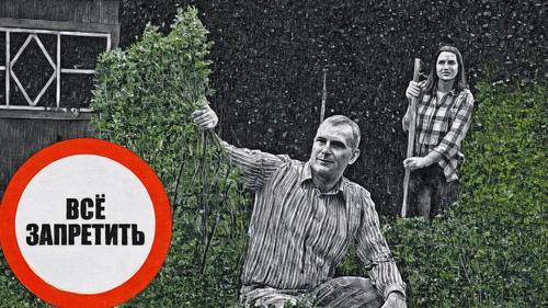 Теперь решили «прижать дачников». В России хотят запретить сдавать дачи и продавать с них урожай?