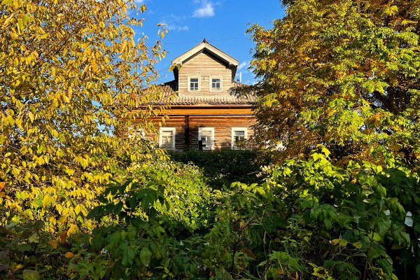 У дачников начнут отнимать участки за невырубленные деревья. От каких деревьев нужно избавиться, чтобы не нарваться на штраф? У дачников начнут отнимать участки за невырубленные деревья. От каких деревьев нужно избавиться, чтобы не нарваться на штраф?