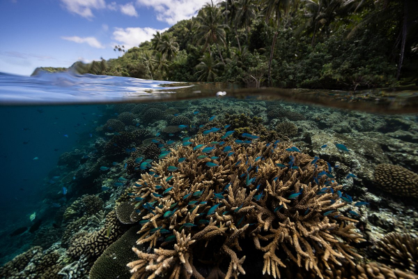 Ученые зафиксировали на Земле начало масштабной климатической катастрофы. Она коснется миллиардов людей Ученые зафиксировали на Земле начало масштабной климатической катастрофы. Она коснется миллиардов людей