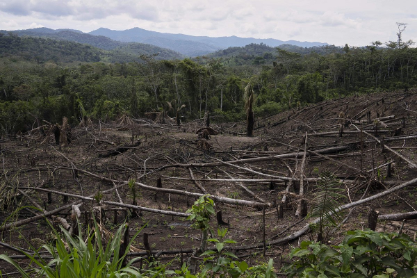 Ученые зафиксировали на Земле начало масштабной климатической катастрофы. Она коснется миллиардов людей Ученые зафиксировали на Земле начало масштабной климатической катастрофы. Она коснется миллиардов людей