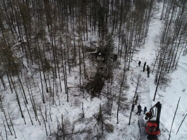 В Ромненском районе объявлен трехдневный траур после авиакатастрофы