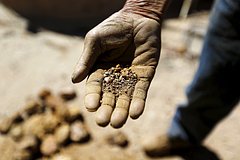 В США разразилась новая золотая лихорадка